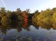 Sfeerpics (3)
