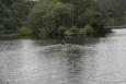 TopvisserTourBaggerputten (1)
