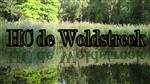 HC De Woldstreek